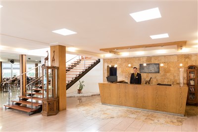 htop PALM BEACH - BUS - recepce