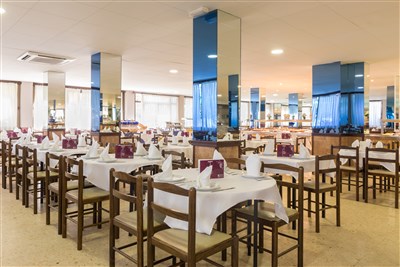 htop PALM BEACH - BUS - restaurace