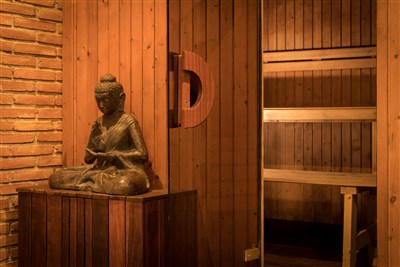 htop PALM BEACH - BUS - SPA