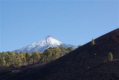 TENERIFE - KLENOT KANÁRSKÝCH OSTROVŮ - Tenerife