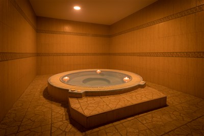 htop CALELLA PALACE - BUS - SPA