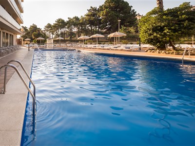 htop ROYAL STAR - BUS