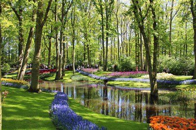 HOLANDSKO - Keukenhof