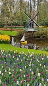 HOLANDSKO - Keukenhof