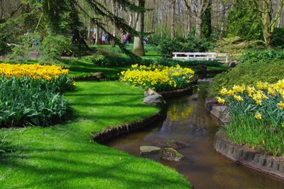 HOLANDSKO A KVĚTINOVÉ KORZO - Keukenhof