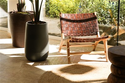 htop AMATISTA - LET - terasa