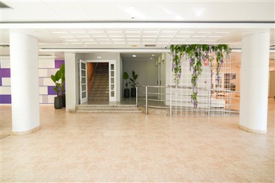 htop AMATISTA - LET - hala