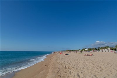 htop ROYAL SUN - BUS