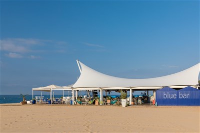 htop AMAIKA - BUS - bar