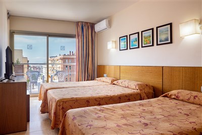 htop PALM BEACH - BUS - pokoj