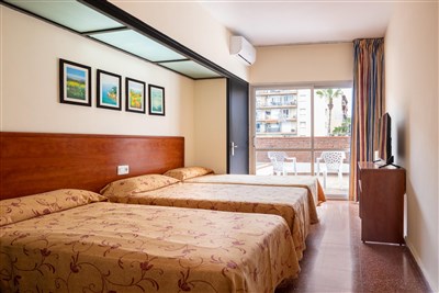 htop PALM BEACH - BUS - pokoj